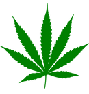 LEAF OF LIFE